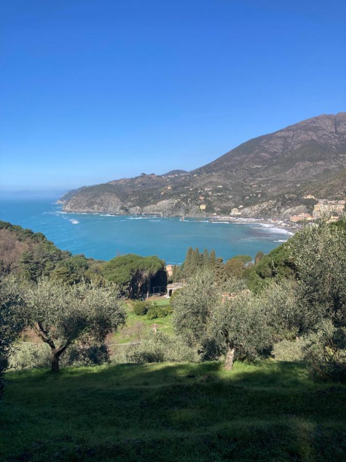 Nel Blu Dipinto Di Blu Apartment Levanto Exterior foto